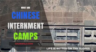 Unveiling China's Xinjiang Camps: Human Rights Crisis Explained