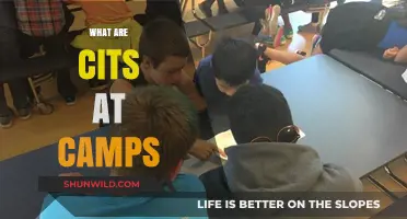 Understanding CITS: Essential Roles and Responsibilities at Summer Camps