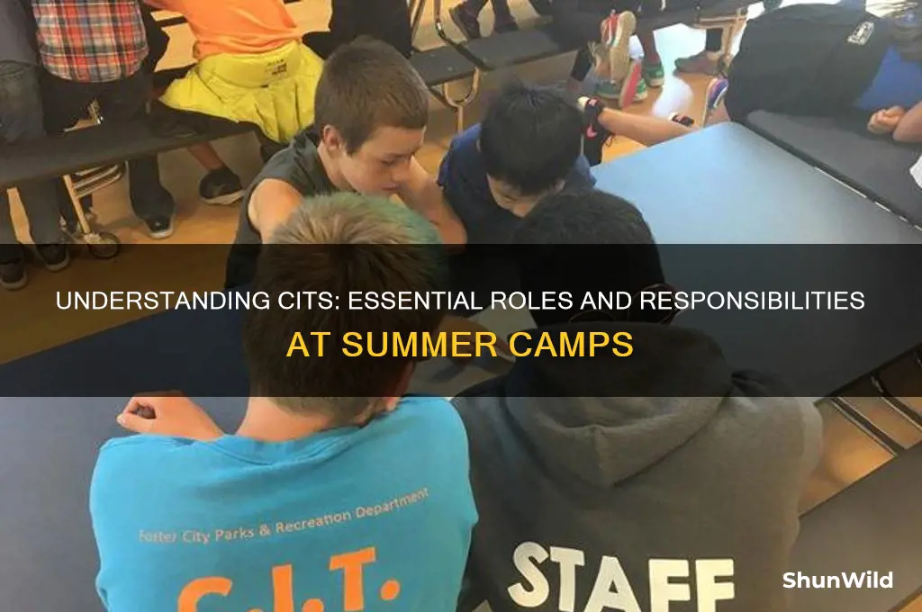 what are cits at camps