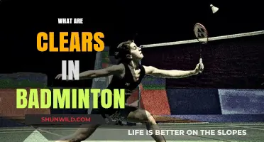 Understanding Badminton Clears: Strategies and Techniques