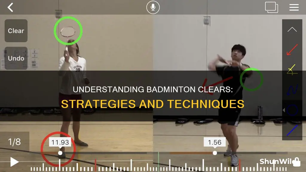 what are clears in badminton