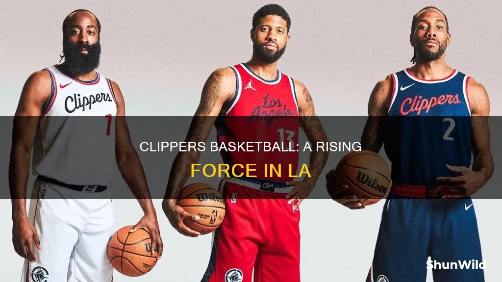 what are clippers basketball