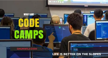 Exploring Code Camps: Intensive Learning for Aspiring Programmers