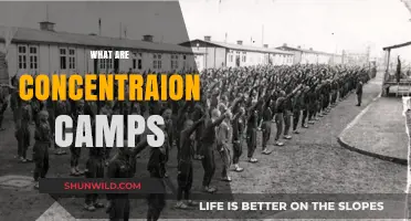 Understanding Concentration Camps: History, Purpose, and Global Impact Explained