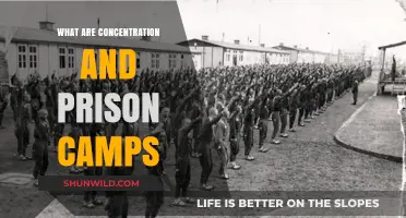 Concentration and Prison Camps: Understanding Their History and Impact