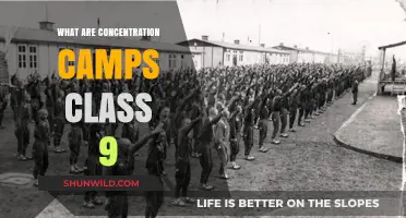 Understanding Concentration Camps: A Class 9 History Lesson