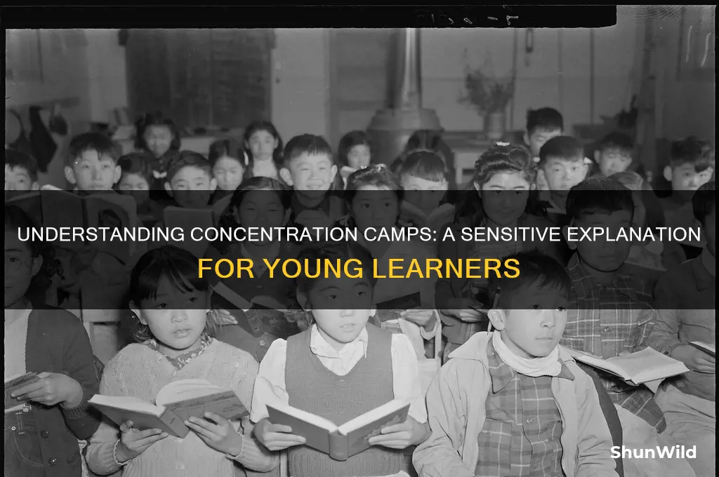 what are concentration camps for kids