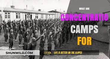 Understanding Concentration Camps: Purpose, History, and Human Impact
