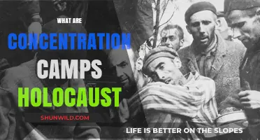 Understanding Concentration Camps: The Dark Reality of the Holocaust