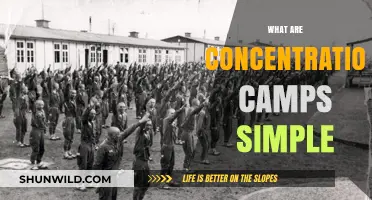 Understanding Concentration Camps: A Simple Explanation of Their History and Purpose