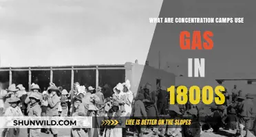 Exploring Early Gas Usage in 19th-Century Concentration Camps