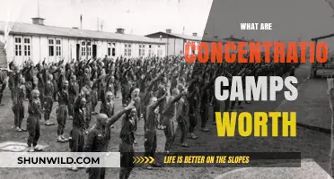 Concentration Camps' Value: A Moral and Historical Perspective