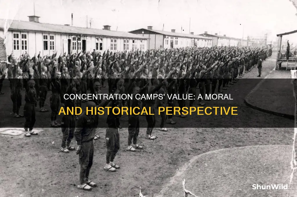what are concentration camps worth