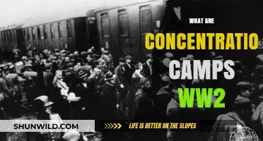 Understanding Concentration Camps: WWII's Dark Legacy and Historical Impact