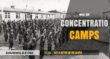 Understanding Concentration Camps: History, Purpose, and Human Impact Explained