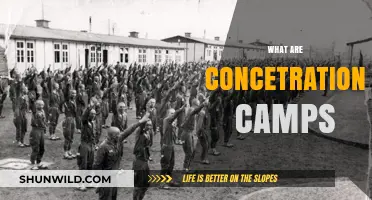 Understanding Concentration Camps: History, Purpose, and Human Impact Explained