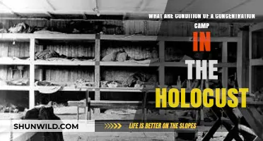 Holocaust Concentration Camps: Unveiling the Brutal Living Conditions