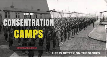 Understanding Concentration Camps: History, Purpose, and Human Impact Explained