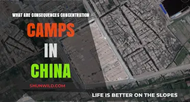 China's Concentration Camps: Devastating Human Rights and Global Consequences