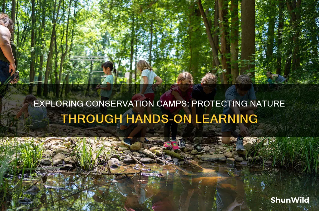 what are conservation camps