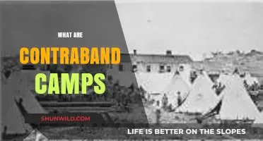 Understanding Contraband Camps: History, Purpose, and Legacy Explained