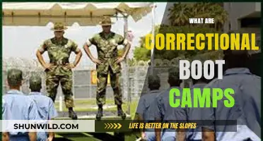 Understanding Correctional Boot Camps: Purpose, Structure, and Effectiveness Explained