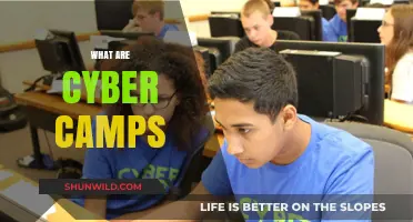 Exploring Cyber Camps: Digital Skills, Security, and Tech Education for Youth