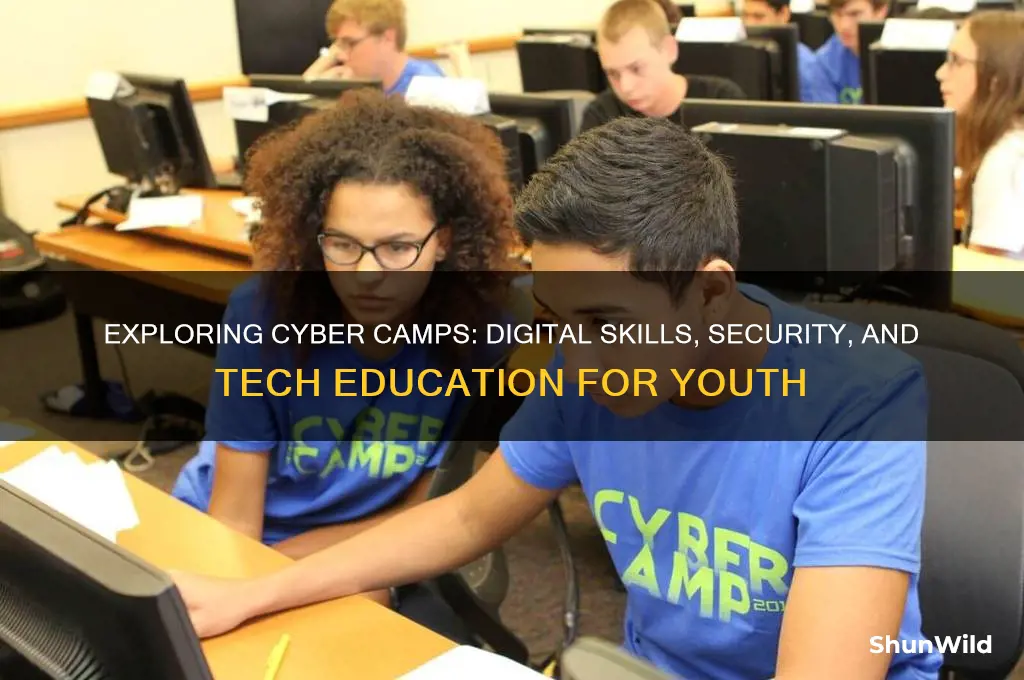 what are cyber camps