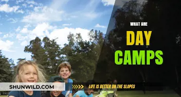 Exploring Day Camps: Fun, Learning, and Adventure for Kids