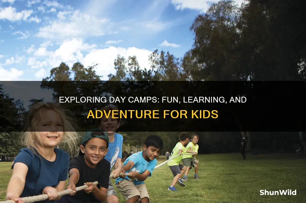what are day camps