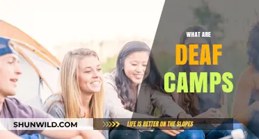 Exploring Deaf Camps: Community, Culture, and Connection for the Deaf