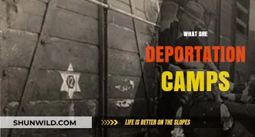 Understanding Deportation Camps: History, Purpose, and Human Impact Explained