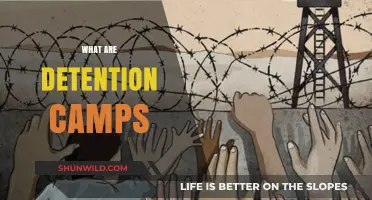 Understanding Detention Camps: Purpose, Conditions, and Human Rights Concerns