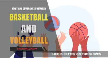 Basketball vs. Volleyball: A Comparison of Court Sports