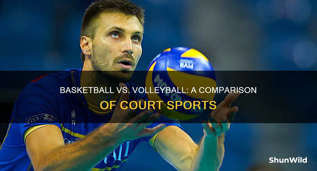 what are differences between basketball and volleyball