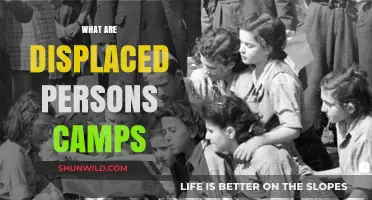 Understanding Displaced Persons Camps: Origins, Challenges, and Global Impact