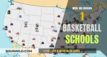 Top-Tier Basketball Schools: Division 1 Institutions Unveiled