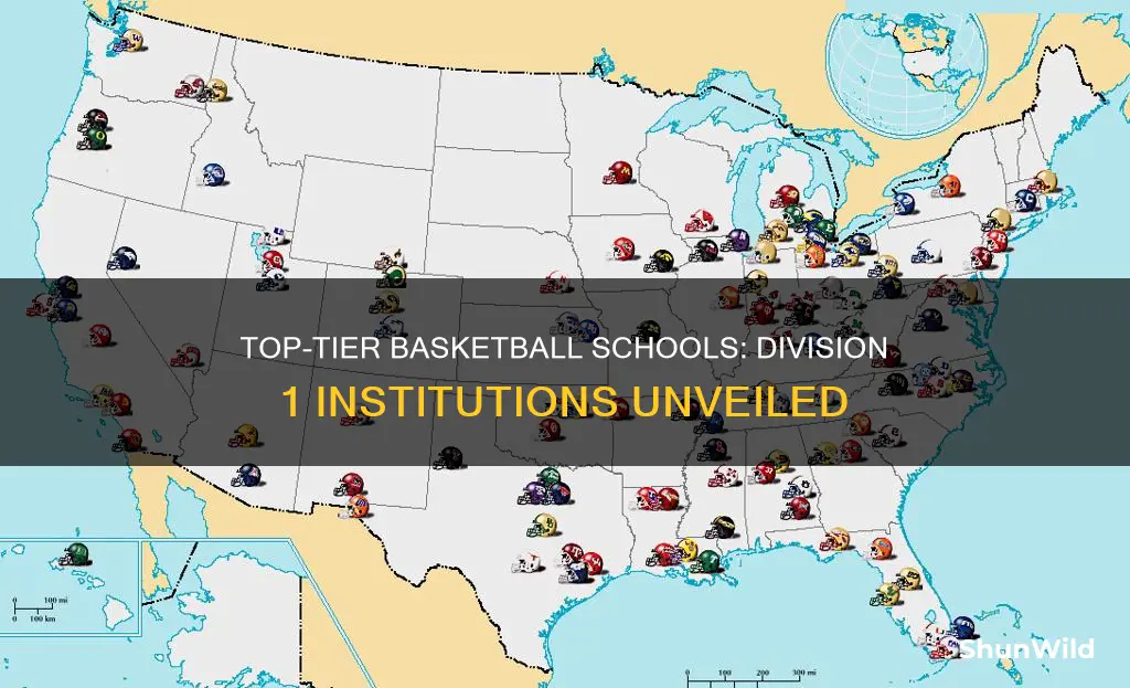 what are division 1 basketball schools