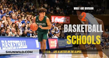 Best Basketball Schools in Division 2: Where Talent Shines