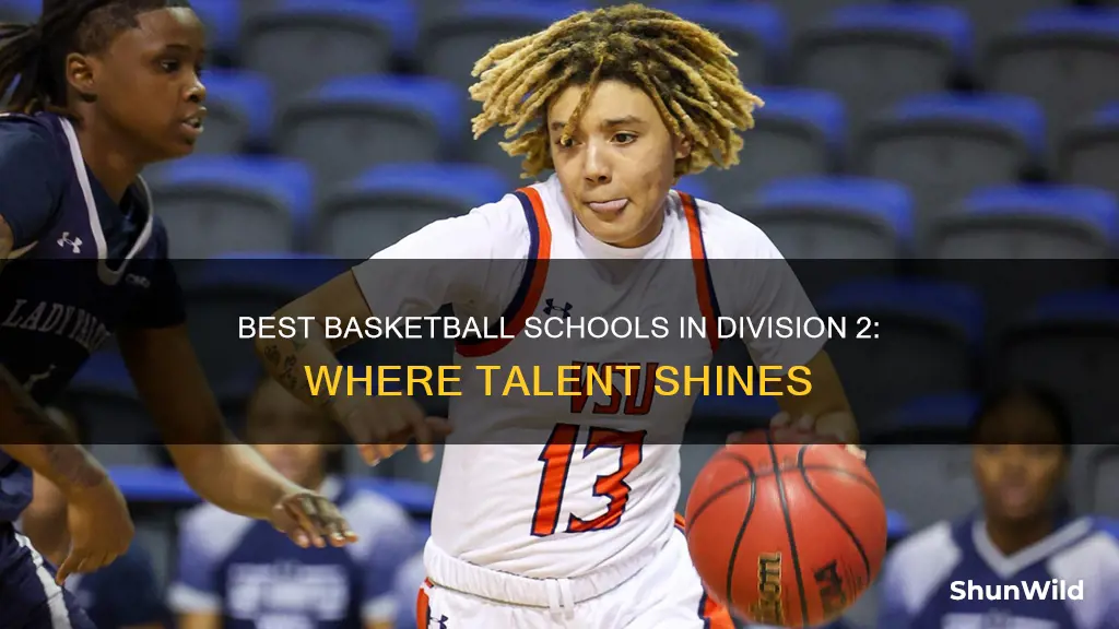 what are division 2 basketball schools