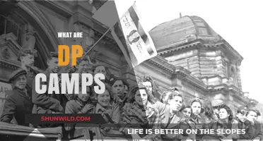 Understanding DP Camps: History, Purpose, and Impact Explained