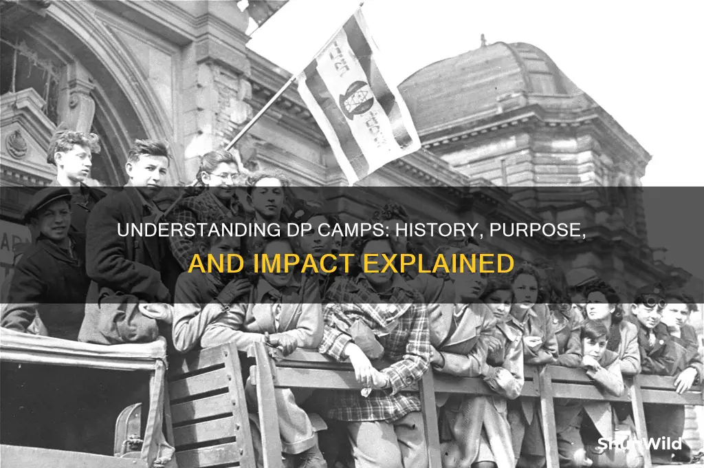 what are dp camps