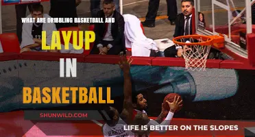 Basketball Basics: Dribbling and Layup Fundamentals