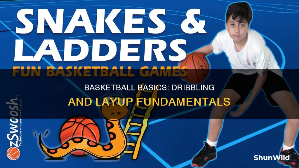 what are dribbling basketball and layup in basketball