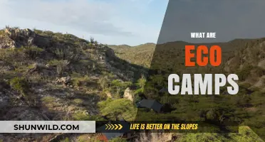 Exploring Eco Camps: Sustainable Outdoor Adventures for Nature Enthusiasts