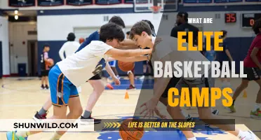 Elite Basketball Camps: Elevate Your Game