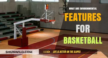 Environmental Factors: Basketball's Unseen Obstacles