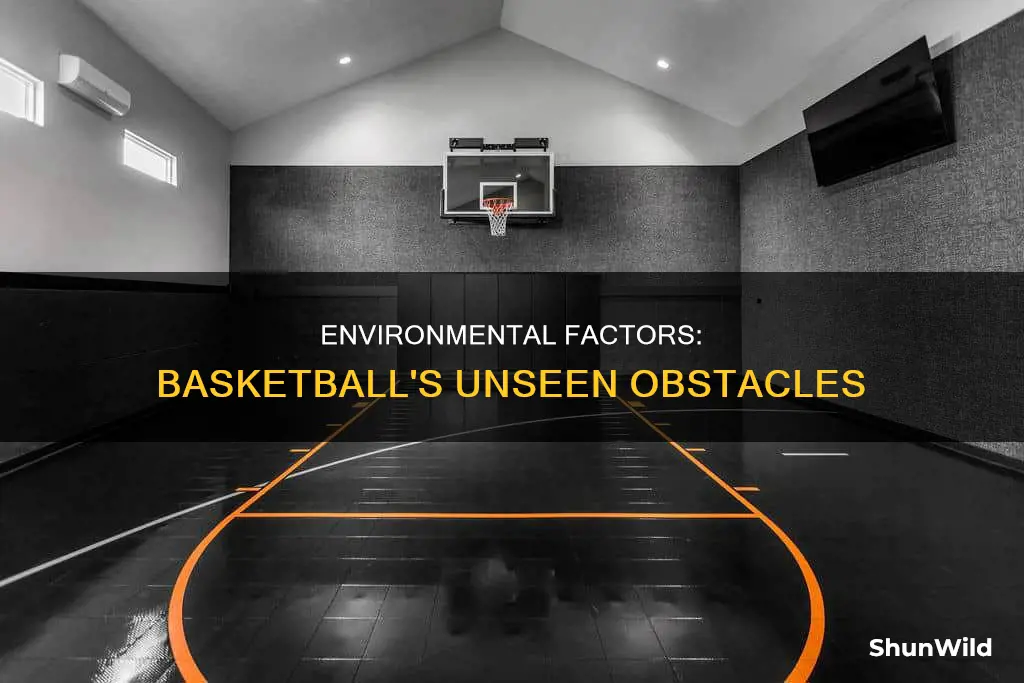 what are environmental features for basketball