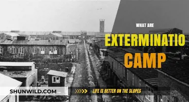 Understanding Extermination Camps: History, Purpose, and Devastating Impact