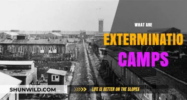 Understanding Extermination Camps: History, Purpose, and Tragic Legacy